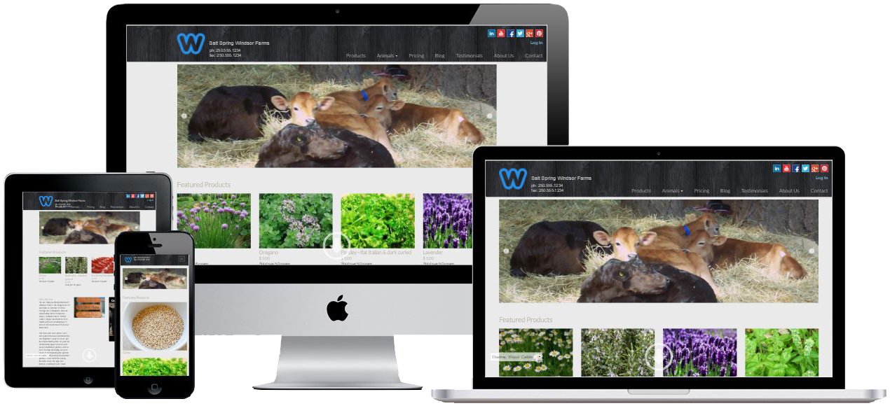 Responsive Design Desktop & Mobile Devices